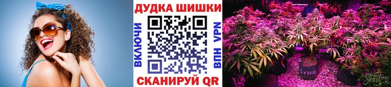 Купить Богородск Галлюциногенные грибы СК Меф мяу мяу Канабис