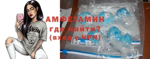 индика Волосово