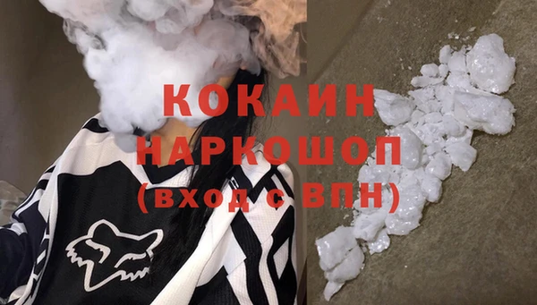 индика Волосово
