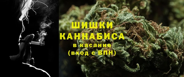 гидра Волоколамск