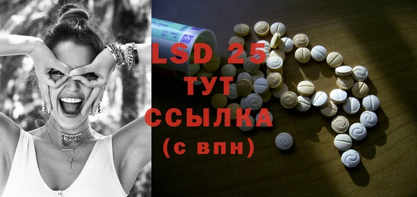 индика Волосово
