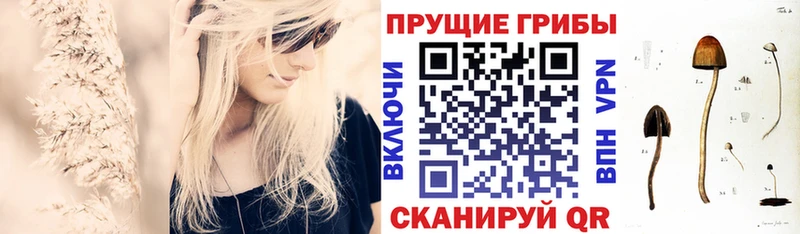 Галлюциногенные грибы Magic Shrooms  Богородск 